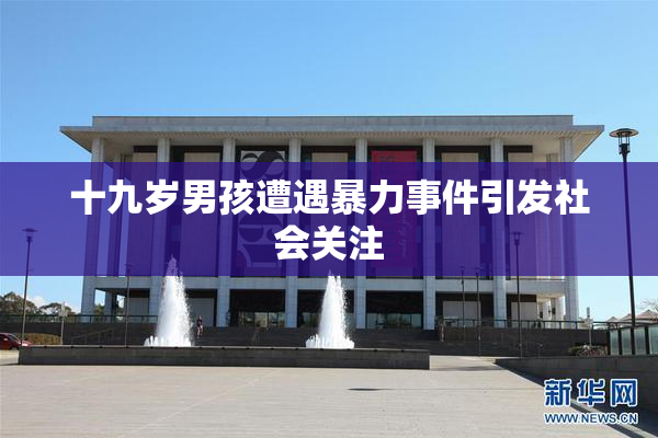 十九岁男孩遭遇暴力事件引发社会关注