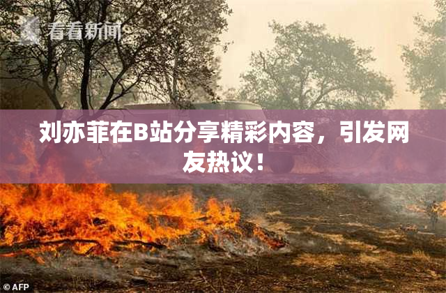 刘亦菲在B站分享精彩内容，引发网友热议！