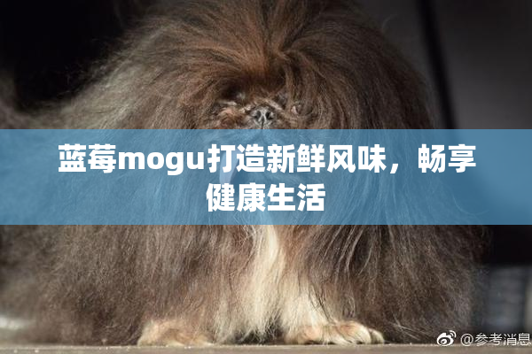蓝莓mogu打造新鲜风味，畅享健康生活