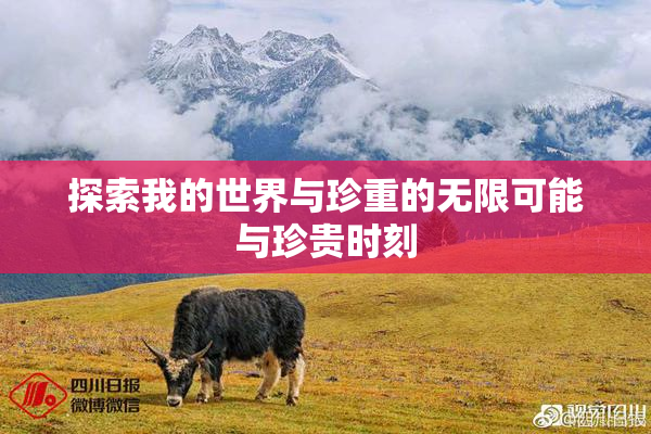 探索我的世界与珍重的无限可能与珍贵时刻