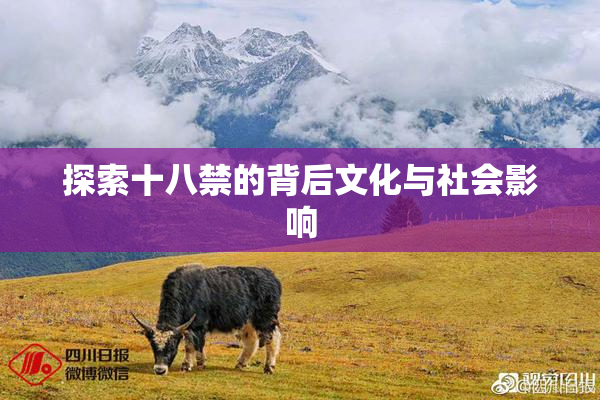 探索十八禁的背后文化与社会影响