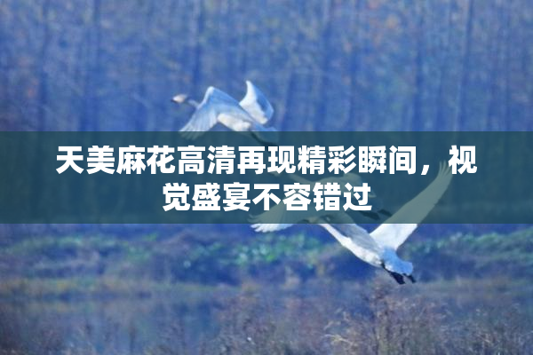 天美麻花高清再现精彩瞬间，视觉盛宴不容错过