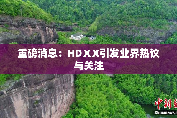 重磅消息：HDⅩX引发业界热议与关注
