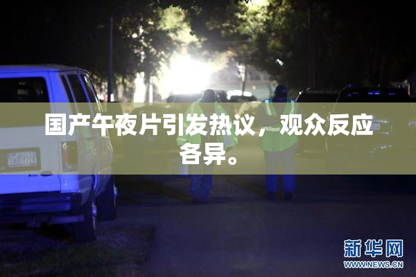 国产午夜片引发热议，观众反应各异。