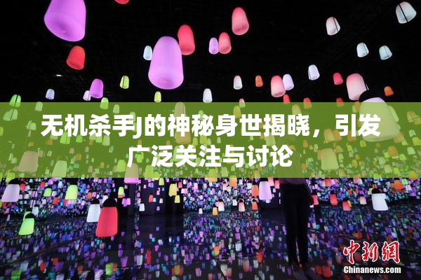 无机杀手J的神秘身世揭晓，引发广泛关注与讨论