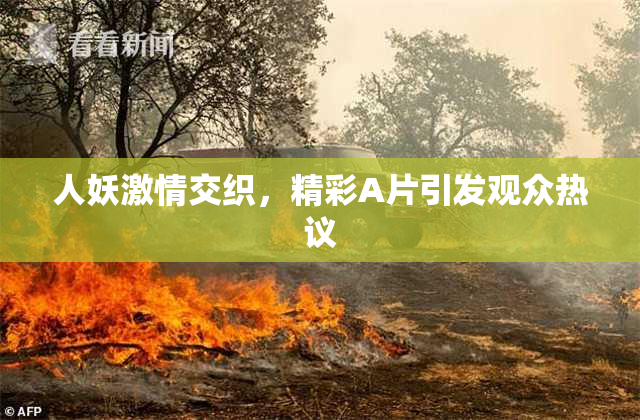 人妖激情交织，精彩A片引发观众热议