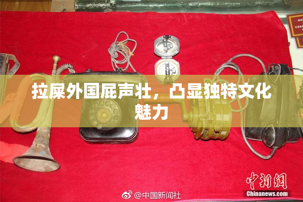 拉屎外国屁声壮，凸显独特文化魅力
