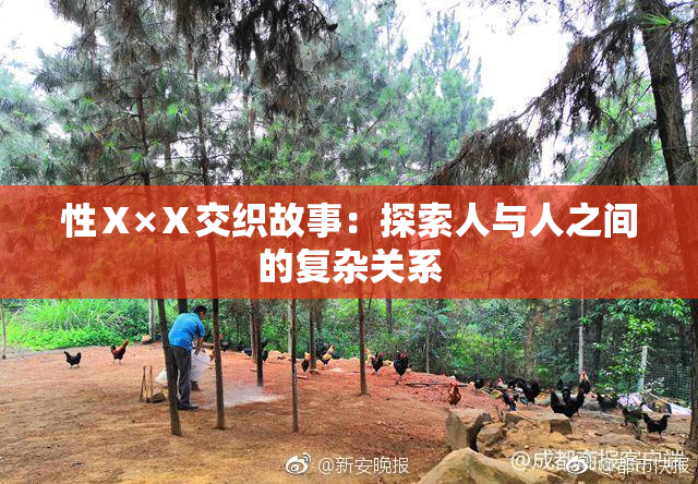 性Ⅹ×Ⅹ交织故事：探索人与人之间的复杂关系