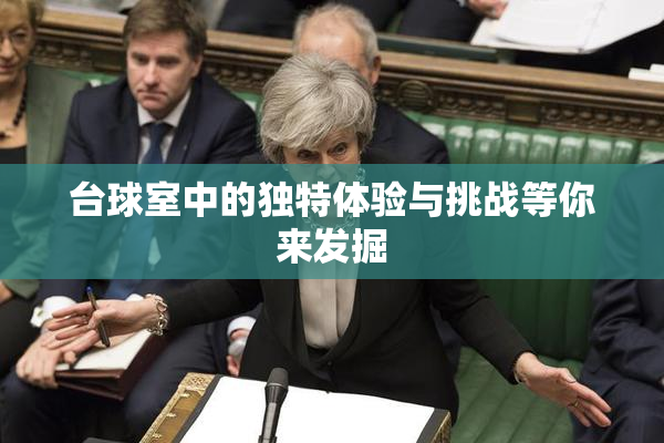 台球室中的独特体验与挑战等你来发掘