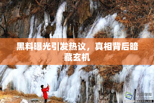 黑料曝光引发热议，真相背后暗藏玄机
