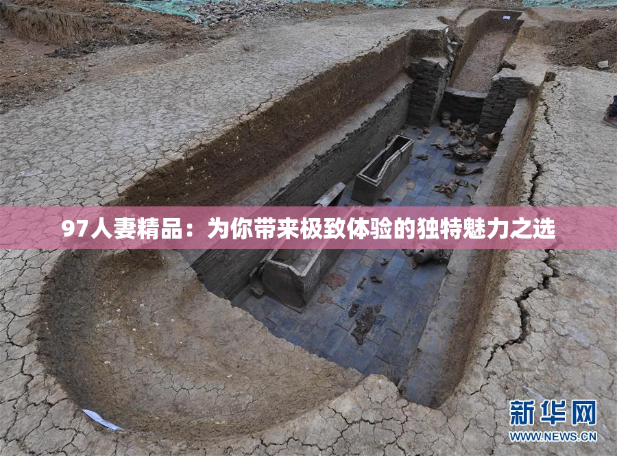 97人妻精品：为你带来极致体验的独特魅力之选