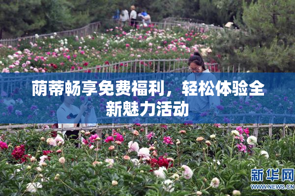 荫蒂畅享免费福利，轻松体验全新魅力活动