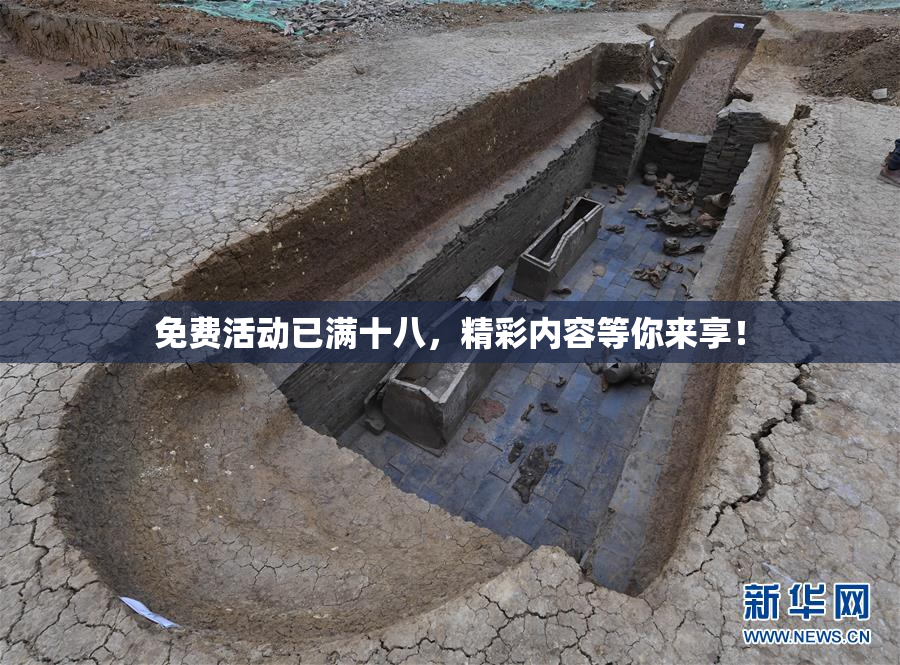 免费活动已满十八，精彩内容等你来享！