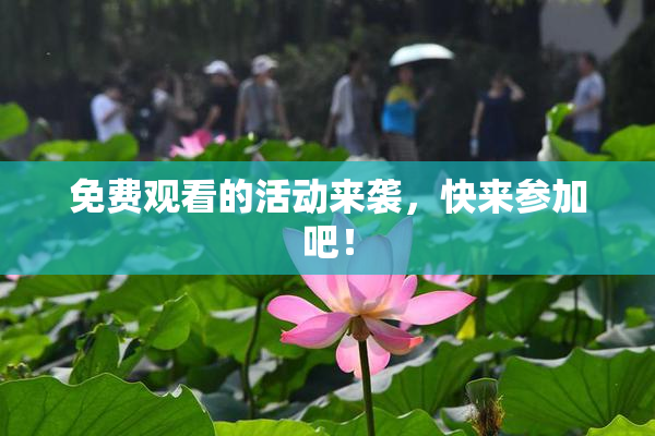 免费观看的活动来袭，快来参加吧！