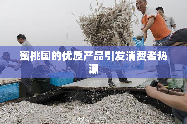 蜜桃国的优质产品引发消费者热潮