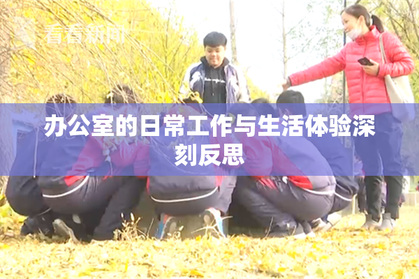 办公室的日常工作与生活体验深刻反思