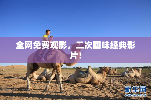 全网免费观影，二次回味经典影片！