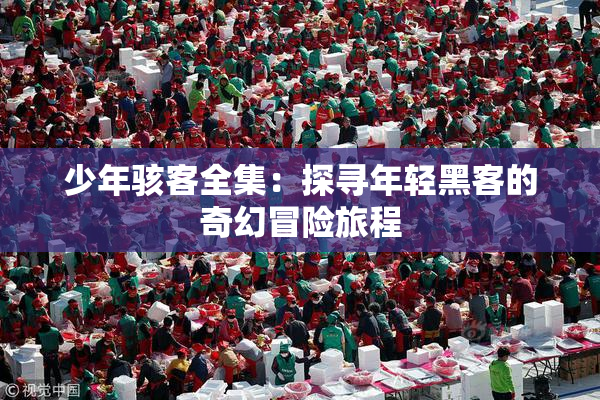 少年骇客全集：探寻年轻黑客的奇幻冒险旅程