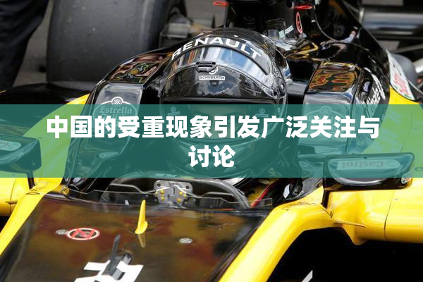 中国的受重现象引发广泛关注与讨论
