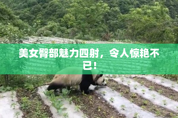 美女臀部魅力四射，令人惊艳不已！