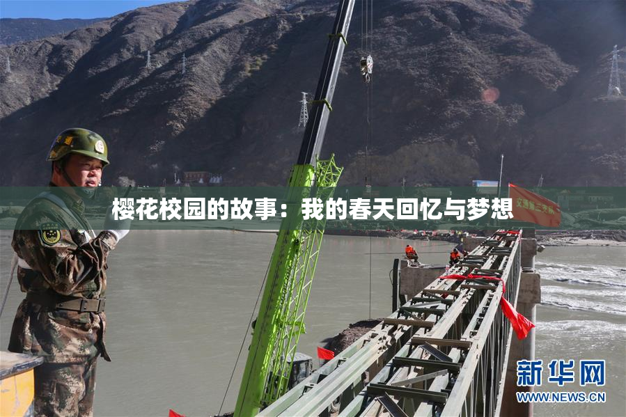 樱花校园的故事：我的春天回忆与梦想