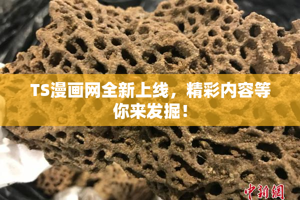 TS漫画网全新上线，精彩内容等你来发掘！