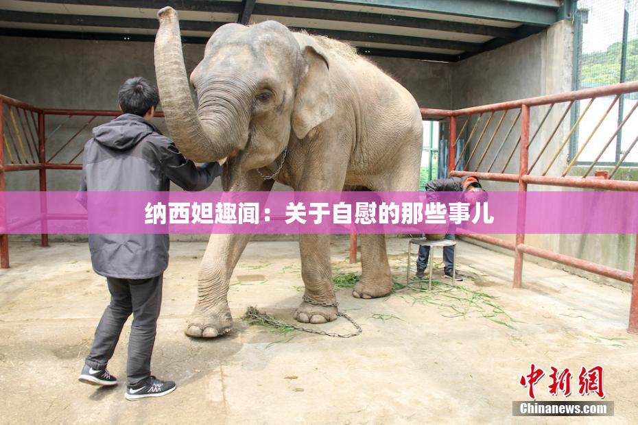 纳西妲趣闻：关于自慰的那些事儿