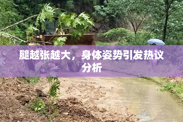 腿越张越大，身体姿势引发热议分析