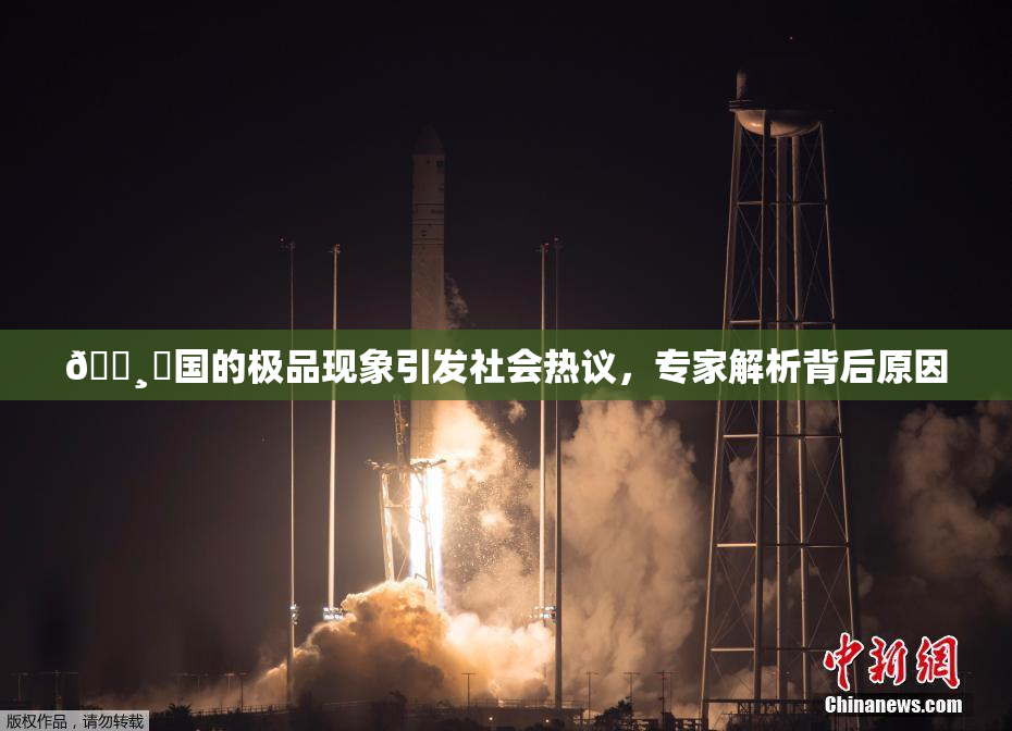 🌸‌国的极品现象引发社会热议，专家解析背后原因