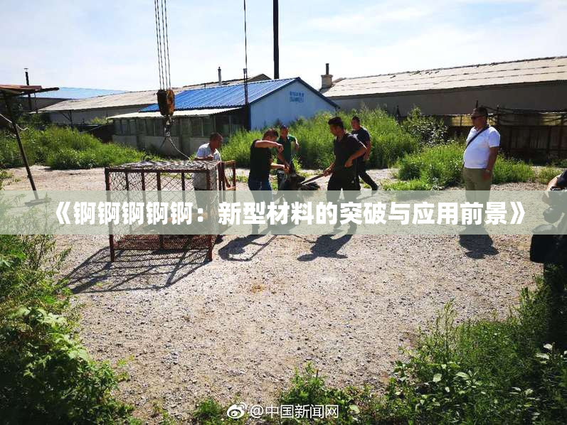 《锕锕锕锕锕：新型材料的突破与应用前景》