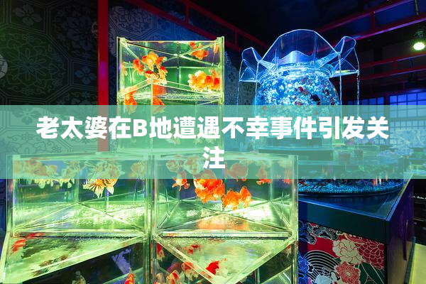 老太婆在B地遭遇不幸事件引发关注