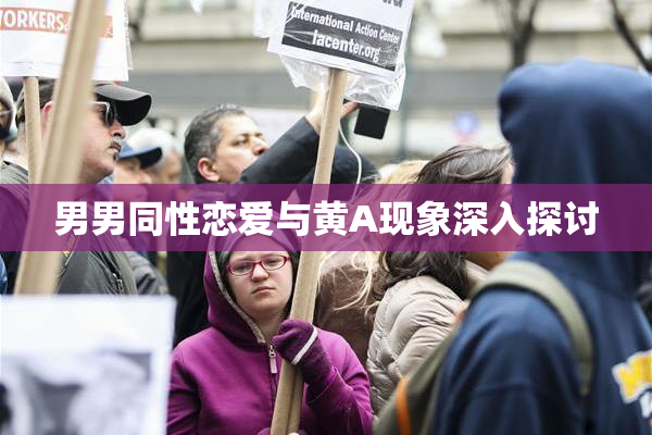 男男同性恋爱与黄A现象深入探讨