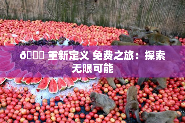 🔞 重新定义 免费之旅：探索无限可能