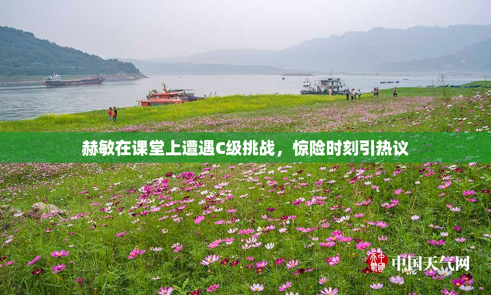 赫敏在课堂上遭遇C级挑战，惊险时刻引热议