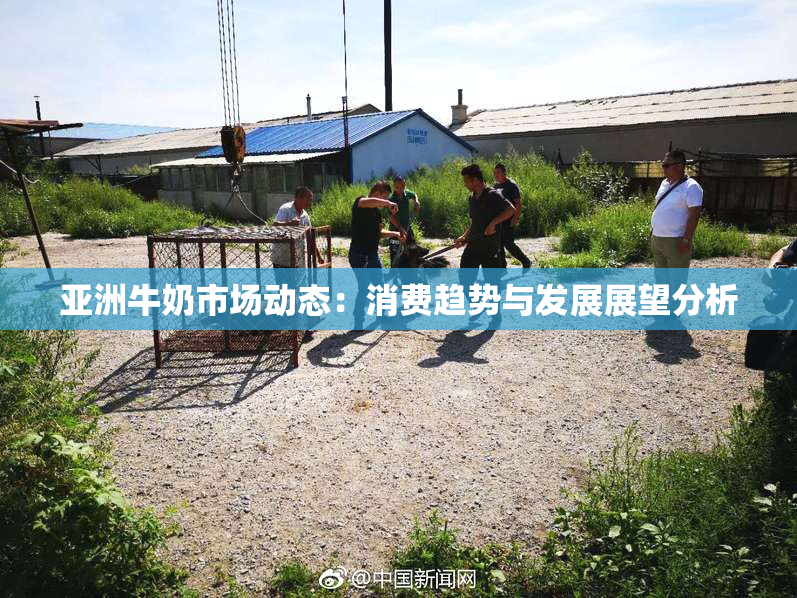 亚洲牛奶市场动态：消费趋势与发展展望分析