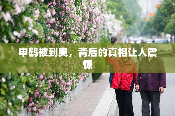申鹤被到爽，背后的真相让人震惊
