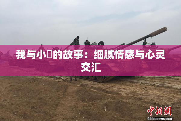 我与小娻的故事：细腻情感与心灵交汇