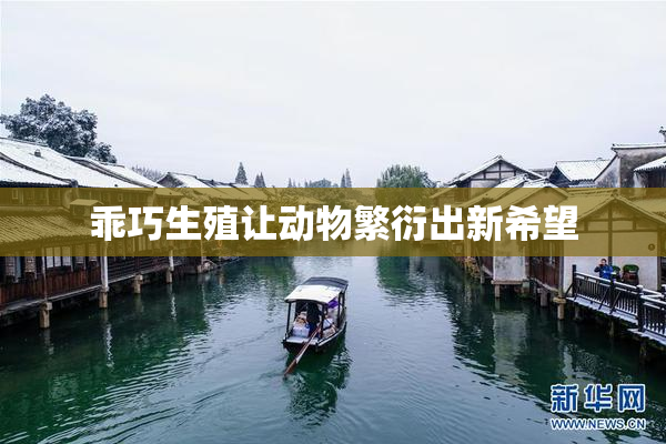 乖巧生殖让动物繁衍出新希望