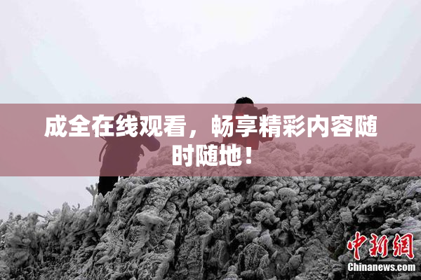 成全在线观看，畅享精彩内容随时随地！