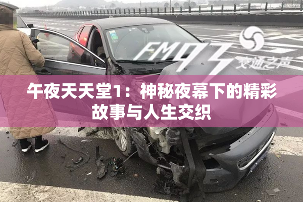午夜天天堂1：神秘夜幕下的精彩故事与人生交织