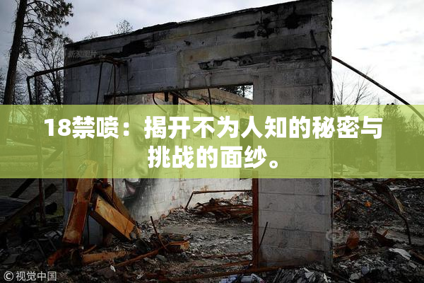 18禁喷：揭开不为人知的秘密与挑战的面纱。
