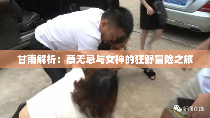 甘雨解析：蔡无忌与女神的狂野冒险之旅
