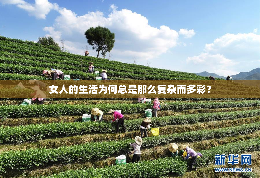 女人的生活为何总是那么复杂而多彩？