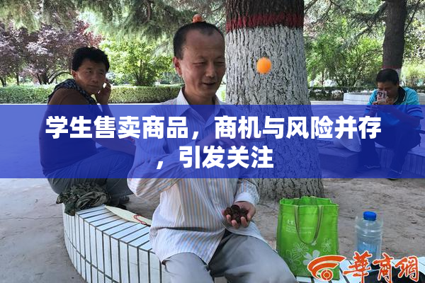 学生售卖商品，商机与风险并存，引发关注