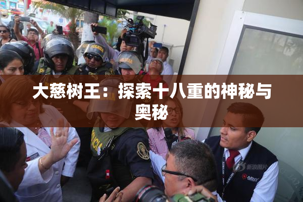 大慈树王：探索十八重的神秘与奥秘