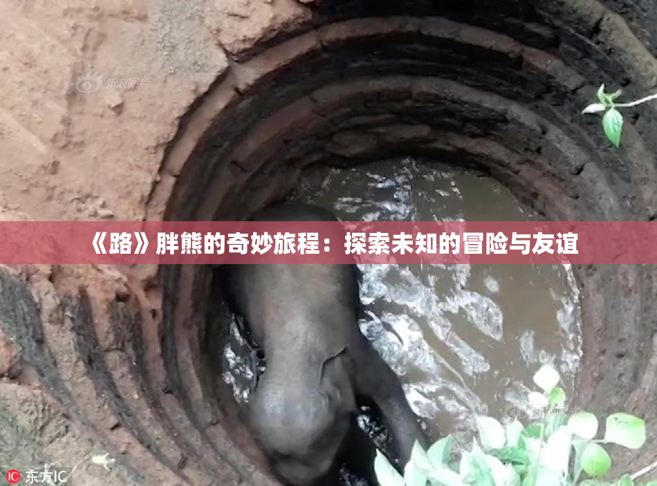 《路》胖熊的奇妙旅程：探索未知的冒险与友谊