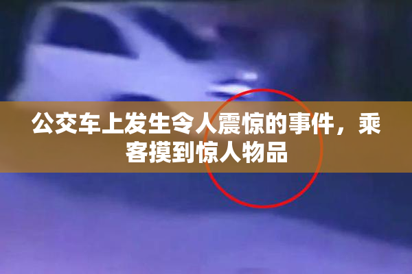 公交车上发生令人震惊的事件，乘客摸到惊人物品