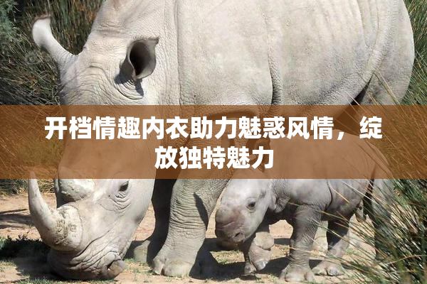 开档情趣内衣助力魅惑风情，绽放独特魅力