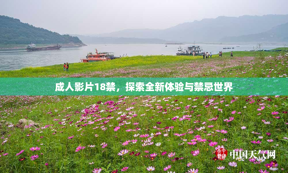 成人影片18禁，探索全新体验与禁忌世界