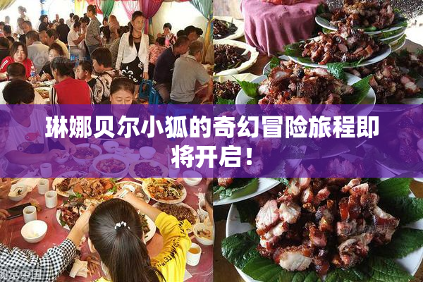 琳娜贝尔小狐的奇幻冒险旅程即将开启！